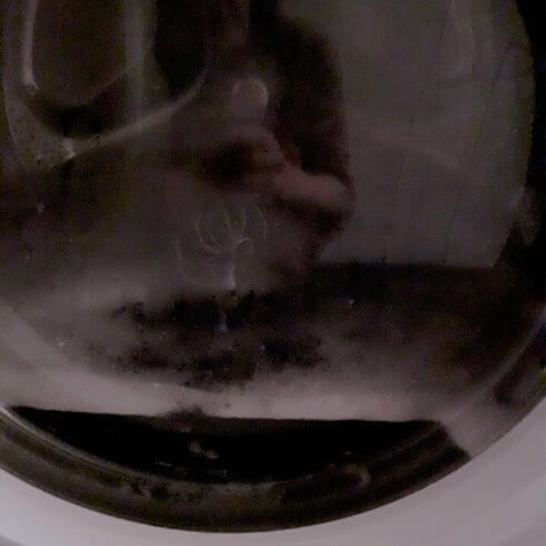Ser du härvorna som ligger i tvättmaskinen? Det är inget roligt att titta på.