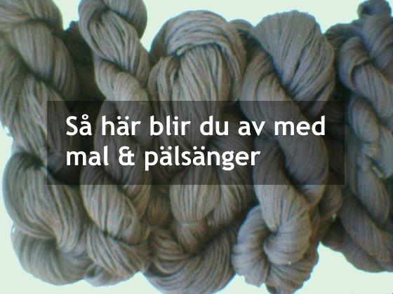 Så här blir du av med mal och pälsänger